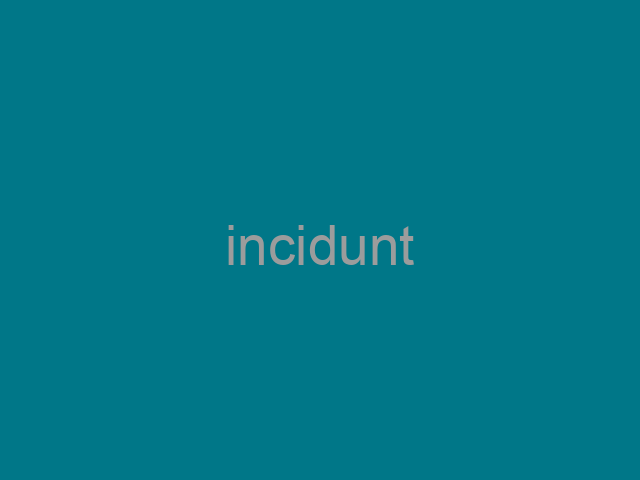 Nam impedit dolores ea.